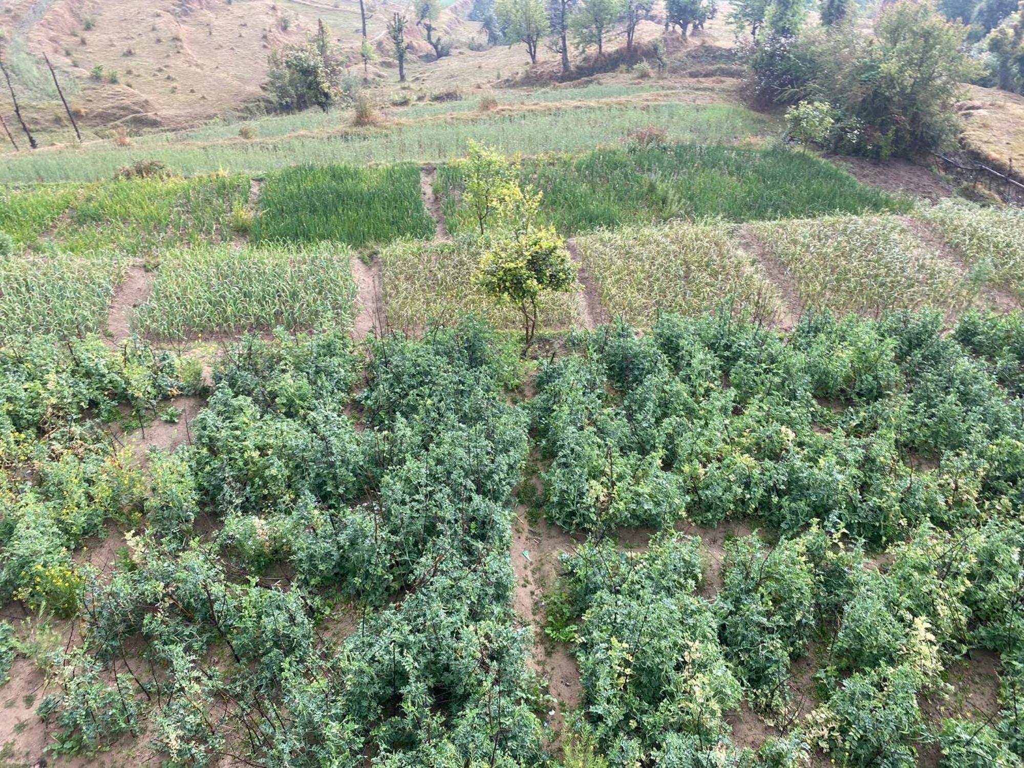 Brook Cottage Champawat Luaran gambar